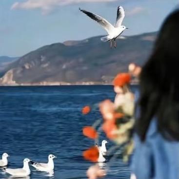 猛猛（超自然）