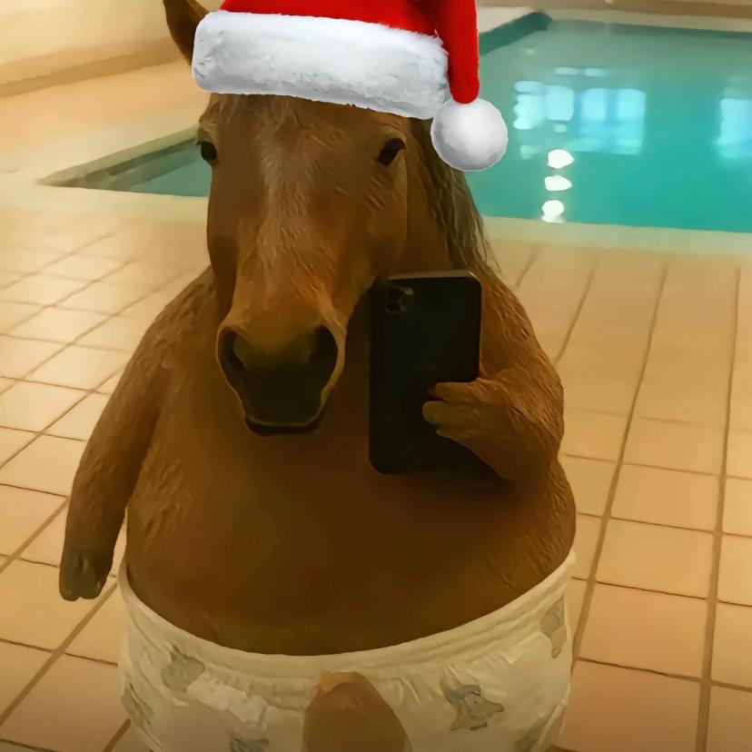 $～$𓆃