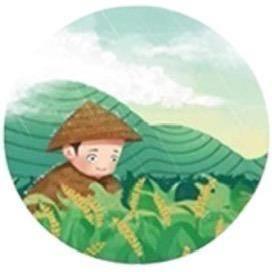 @滇农人优选