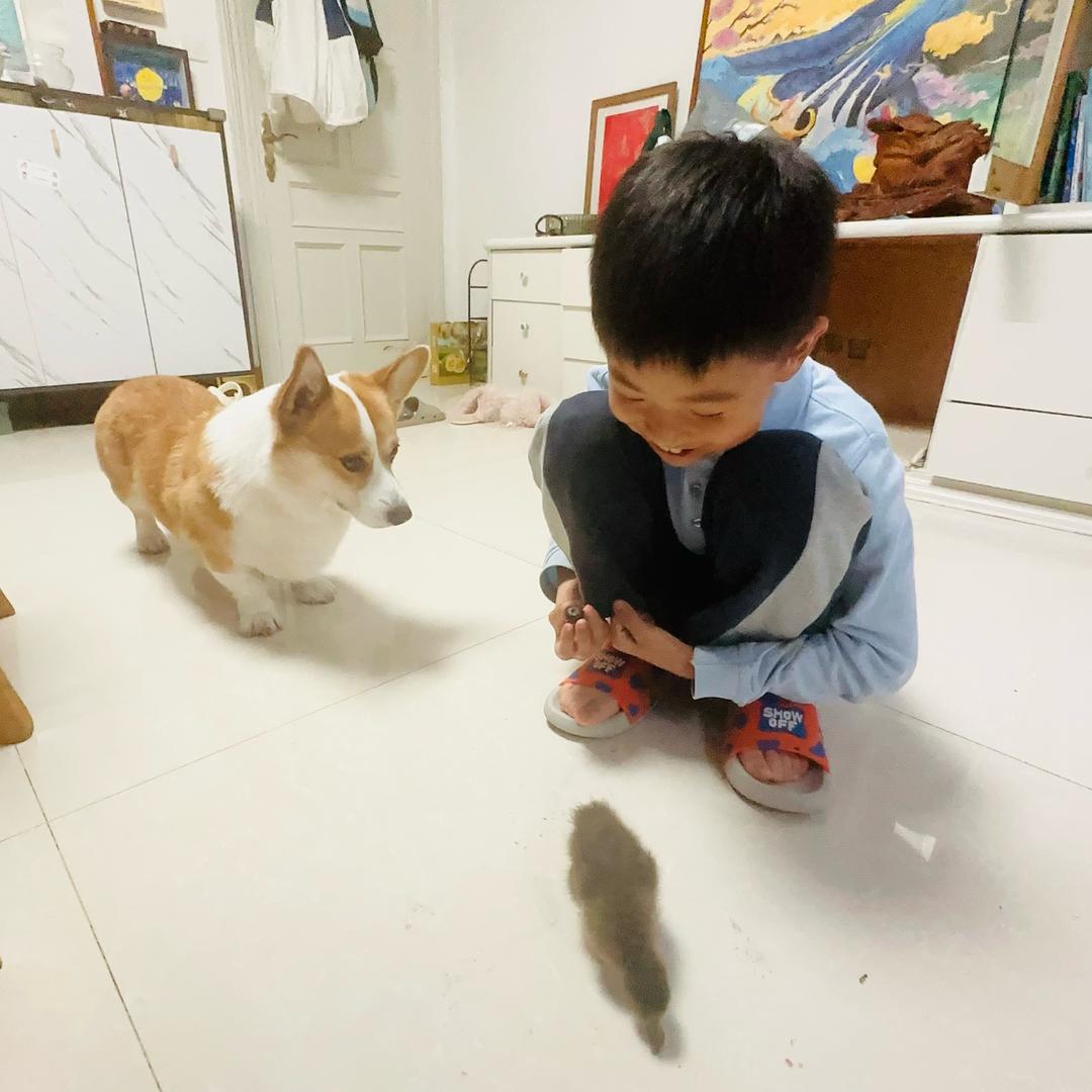 王杰瑞Vs王家堂🐶Vs王凯瑞🦆三小只