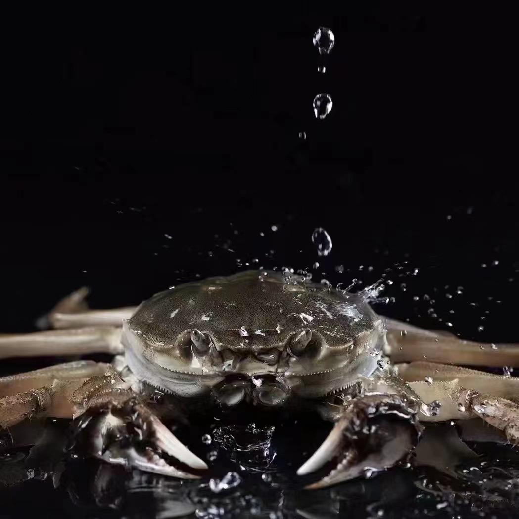 兴化市平晨水产养殖基地