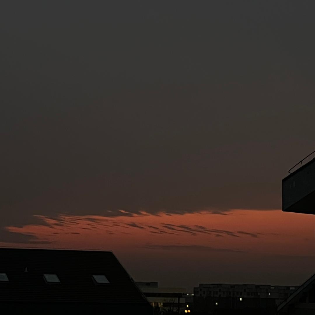 .。