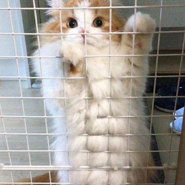 秋日百货商行