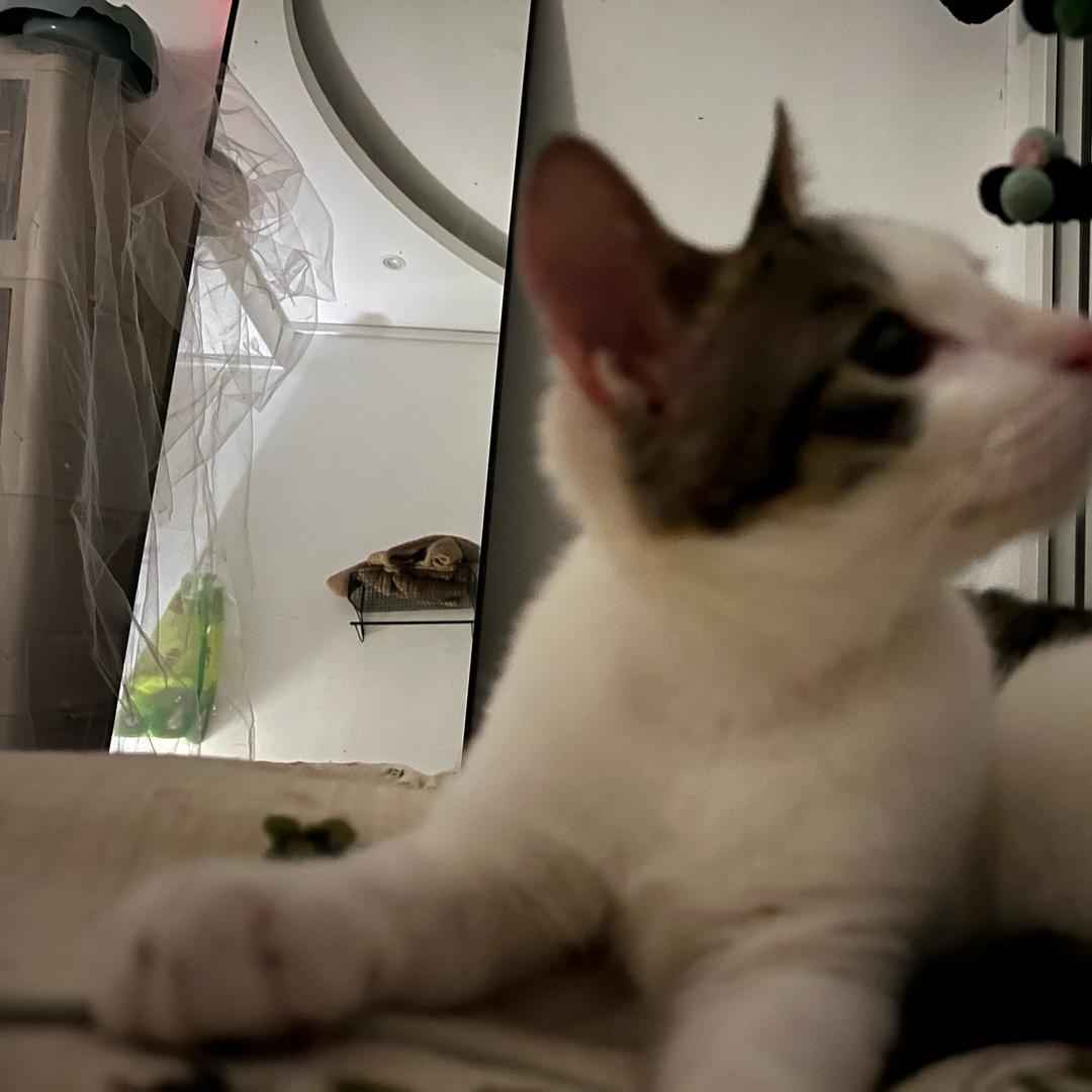 钱都到兜李女士