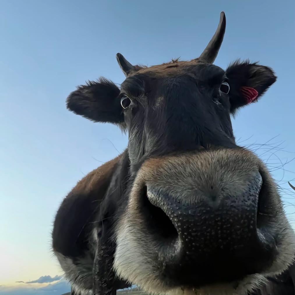 全国水产批发零售