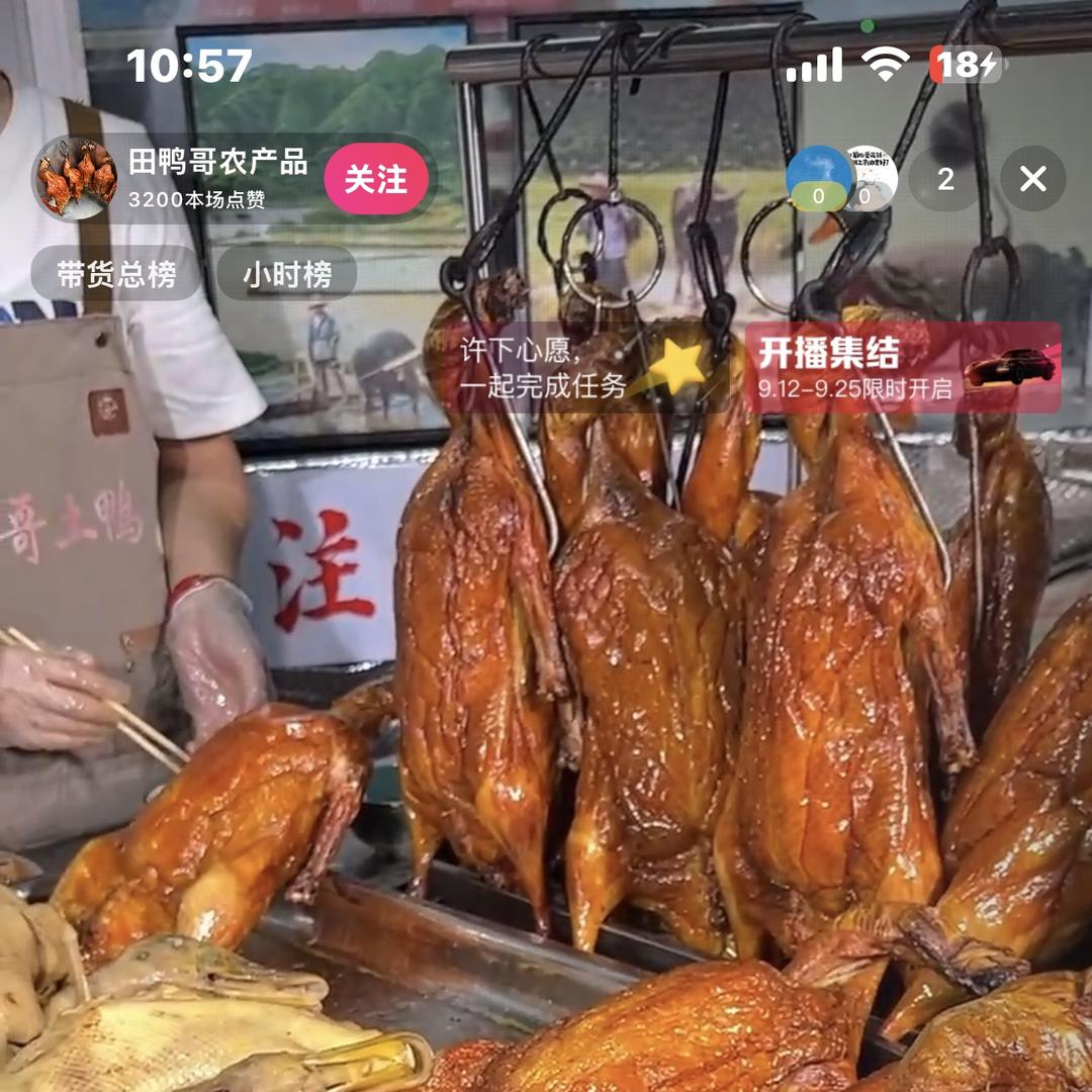 田鸭哥 青头鸭