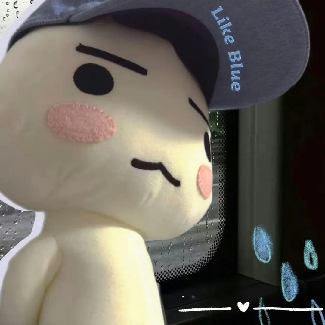 CF.雨寞