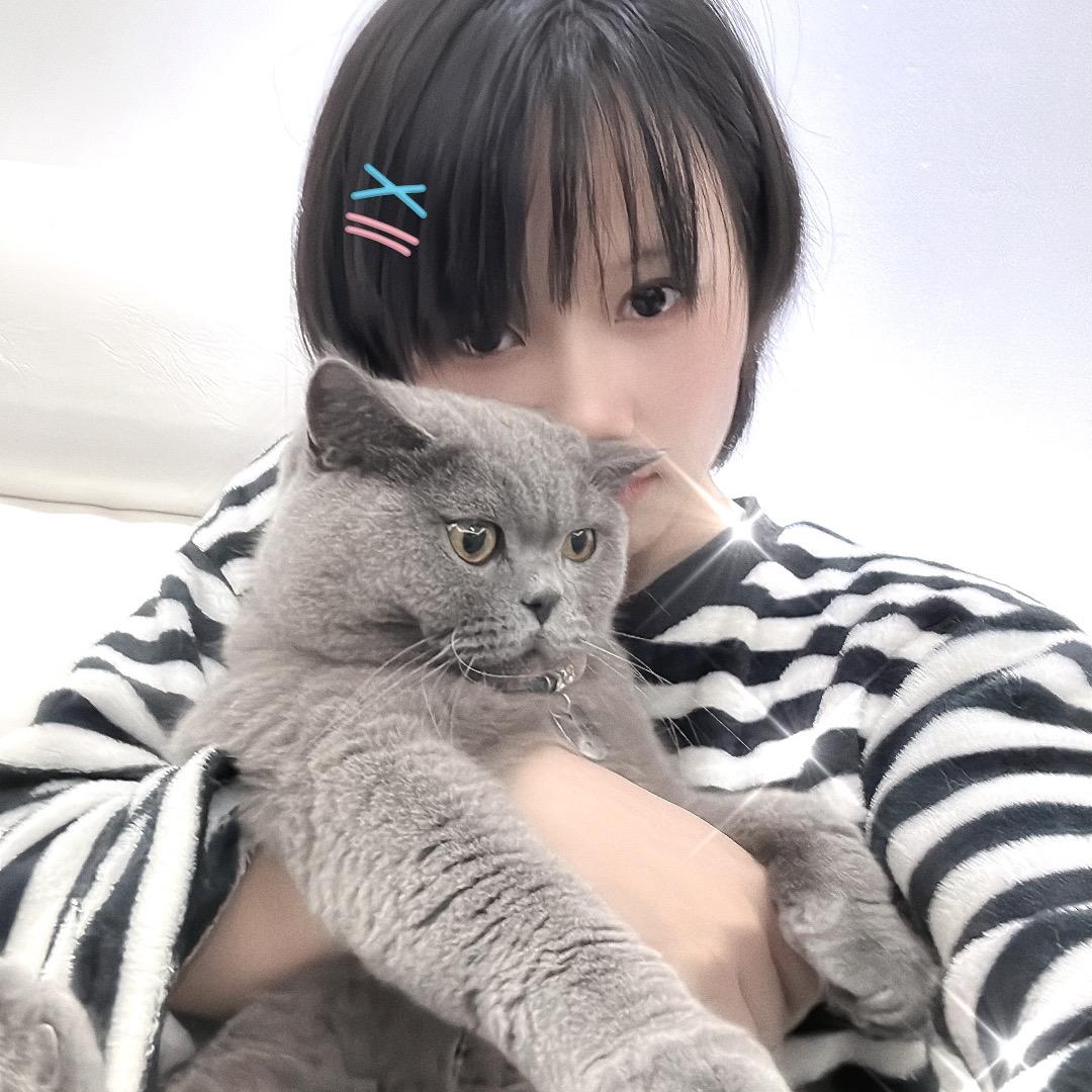 憨包儿的铲屎官