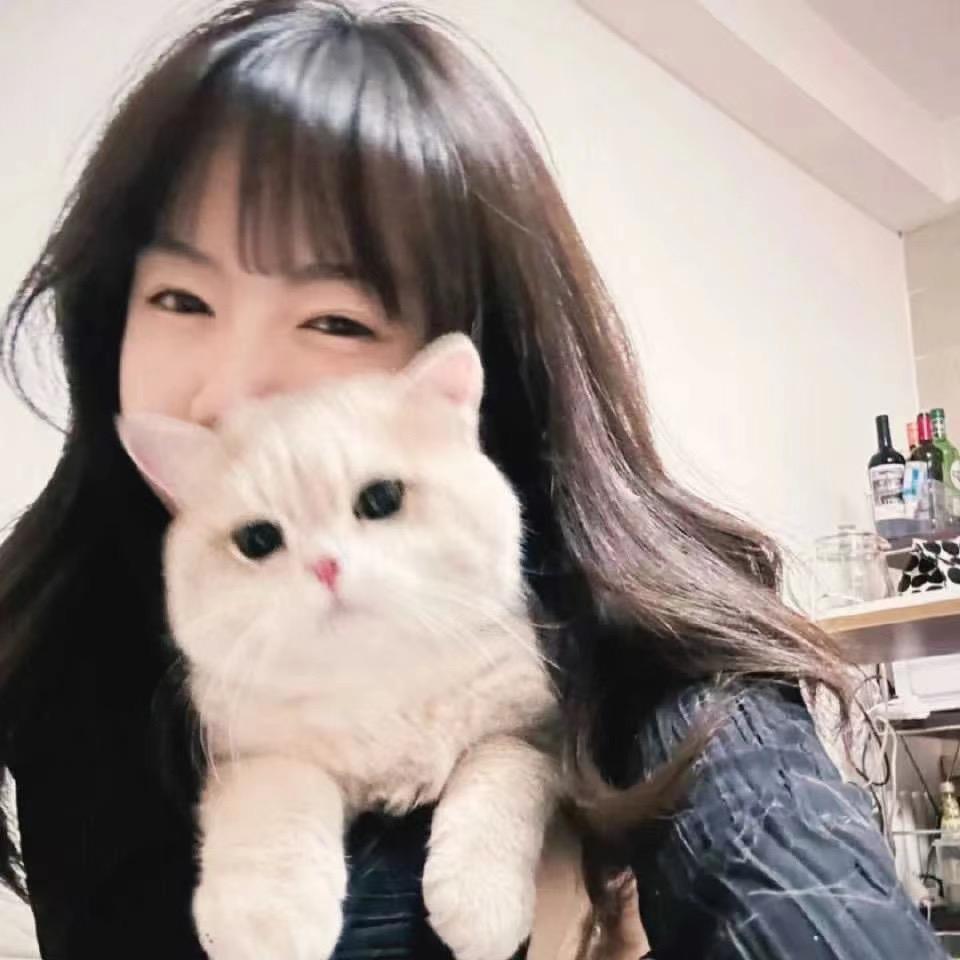 ╭猫ル囧