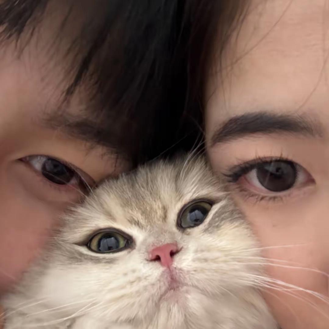 早点相见