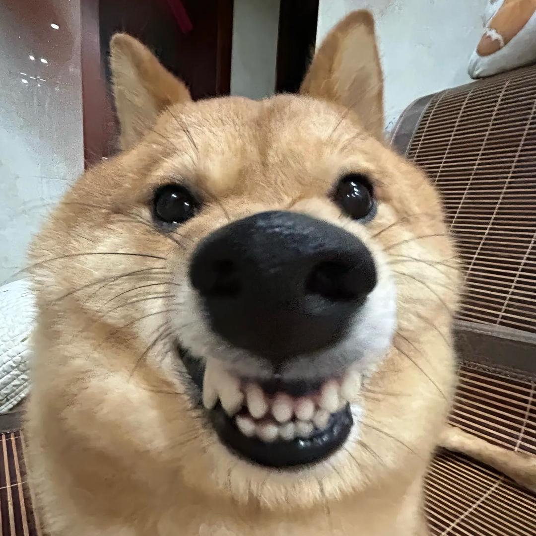 找一火车人干你