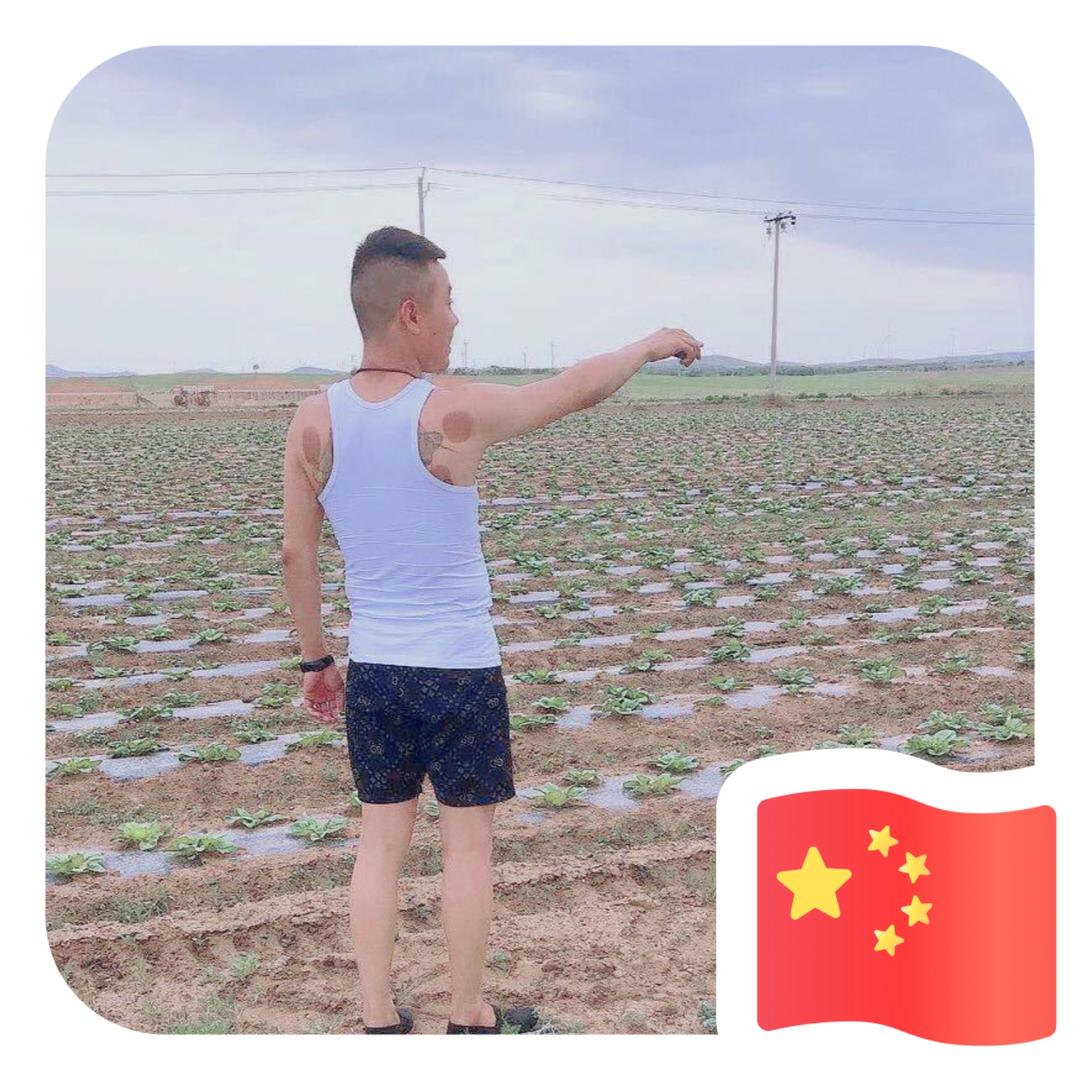 🚬ℳᥫᩣ杨先生