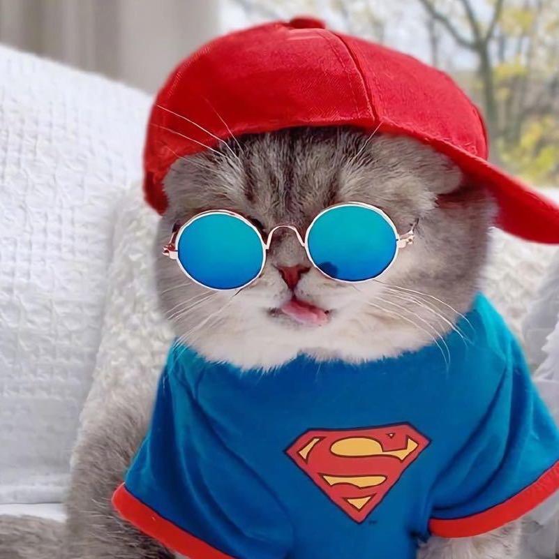 。。。小杰。。。