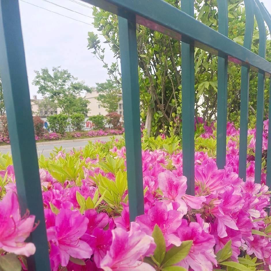 鄧不到的你
