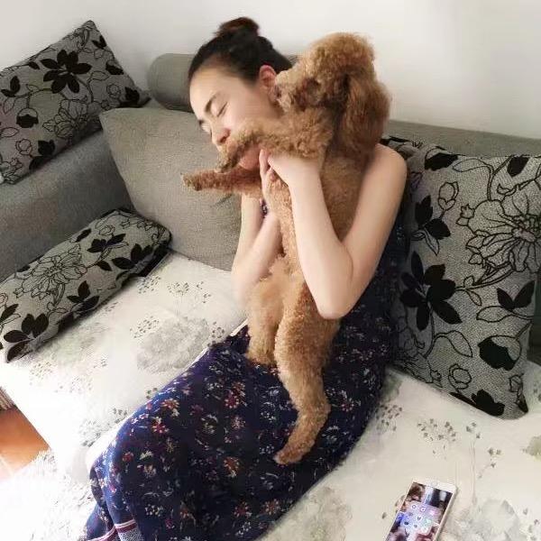 土豆啊我是洋芋
