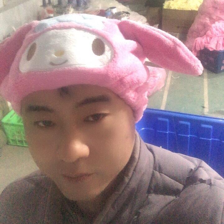 一个毛绒玩具