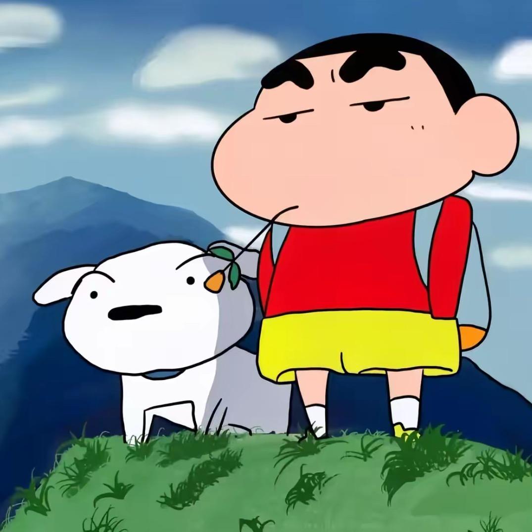 段宏楠