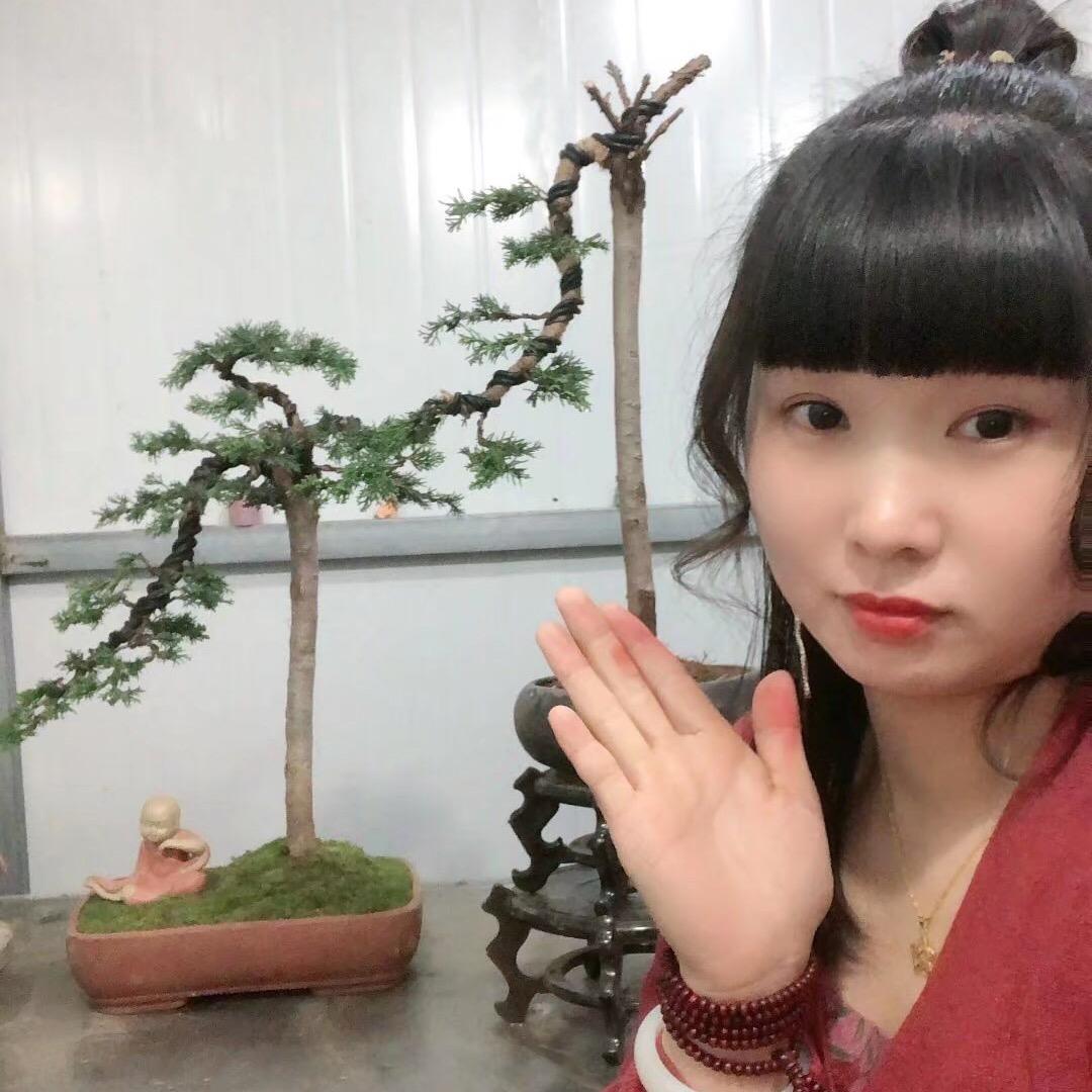 米高盆景园