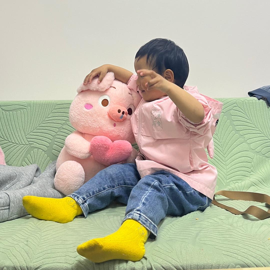 一只小猪🐷