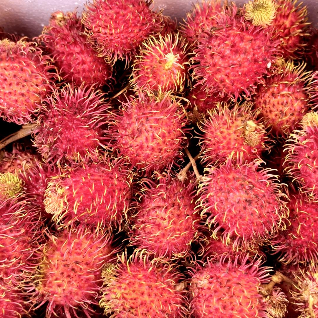 泰越果蔬集(红毛丹)