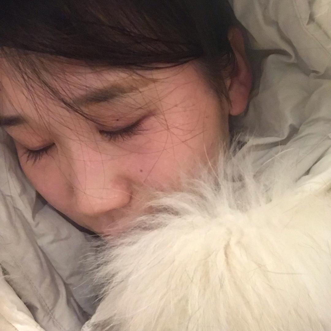 依依