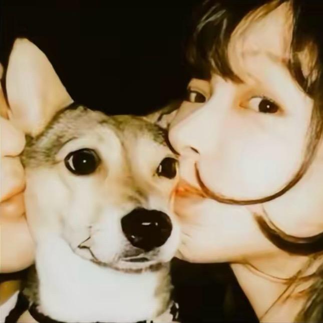 · 卷毛小泡面🍜