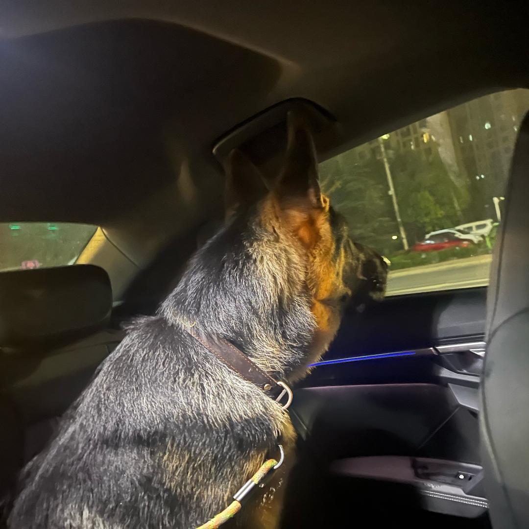 哥开门，我是嫂子