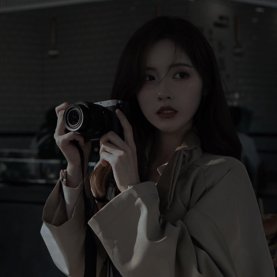 洛伊