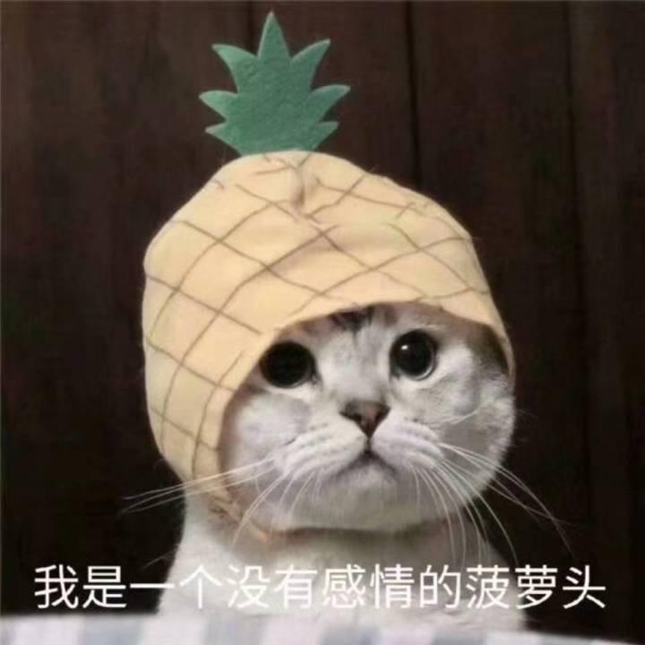橙橙橙橙橙陈小胖友