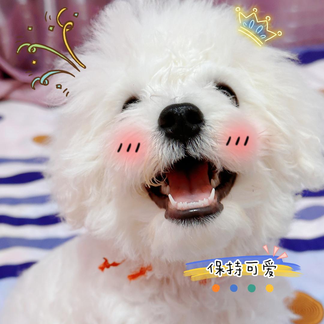 能吃小磊