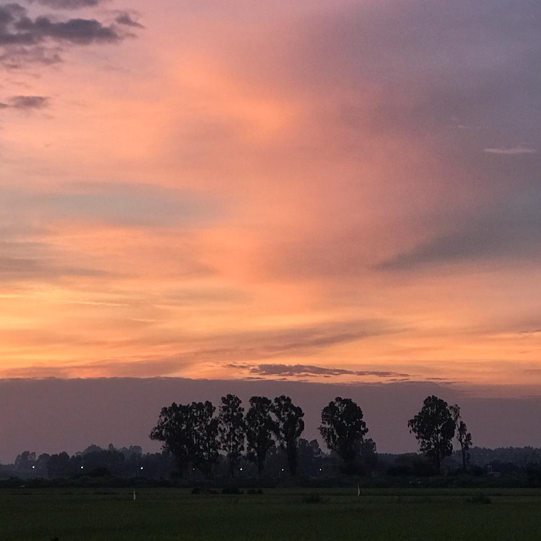 @鄭粒糖🍋檸檬🍋儍儍的🐷鄭尐鄭