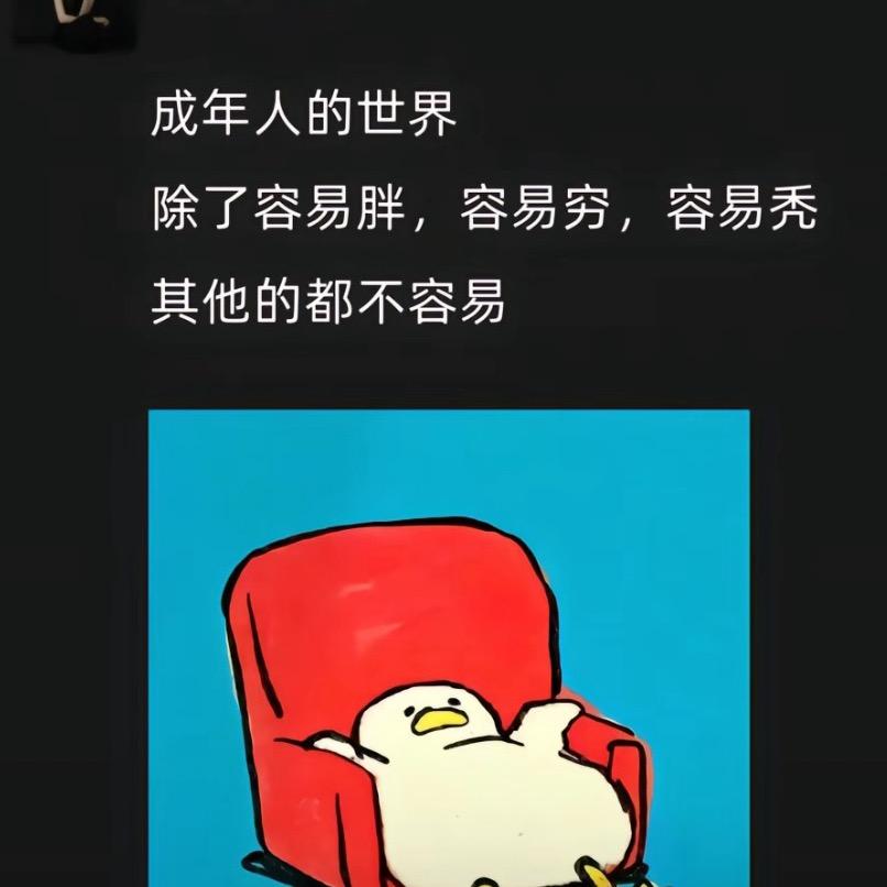 郑大喵😻
