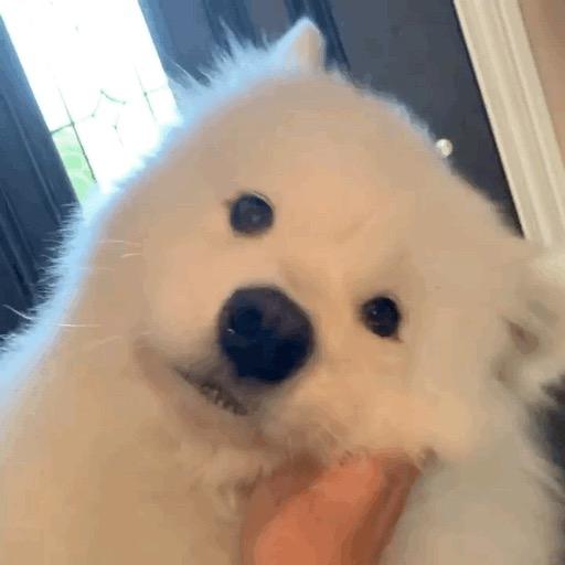 恋恋