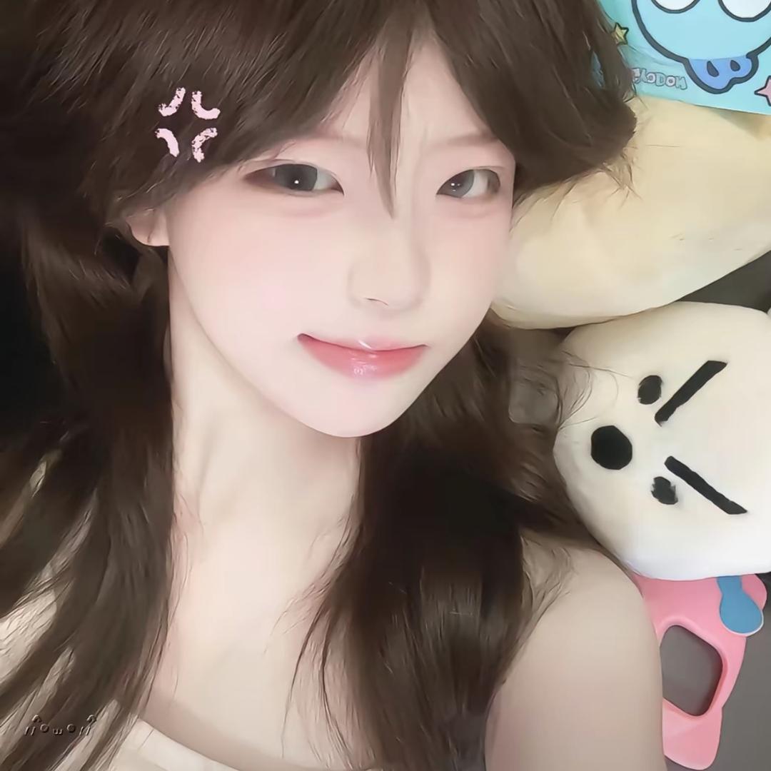 困困宅猫