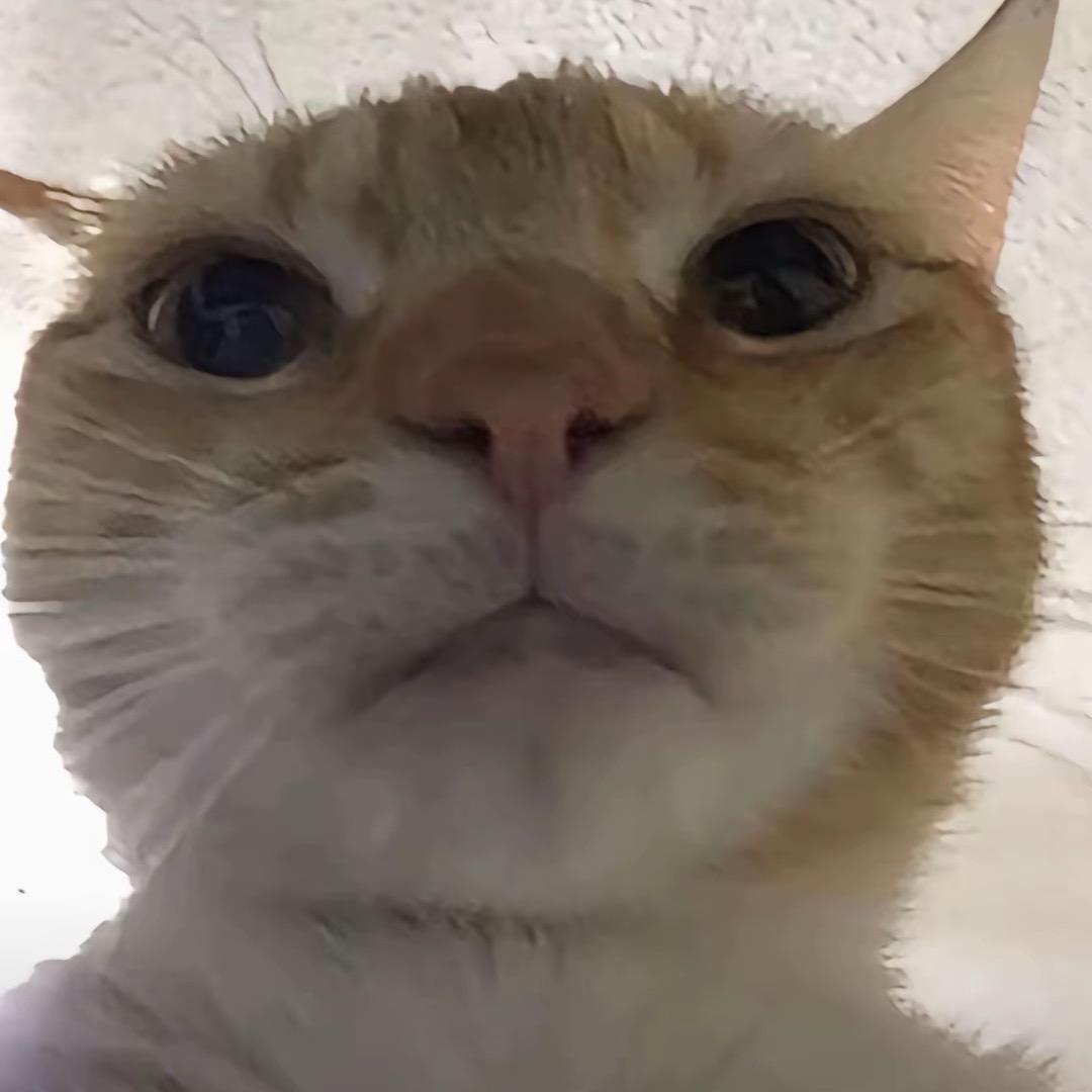 乌云中
