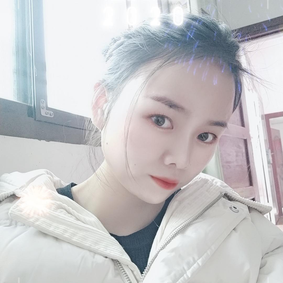 巷子里的猫