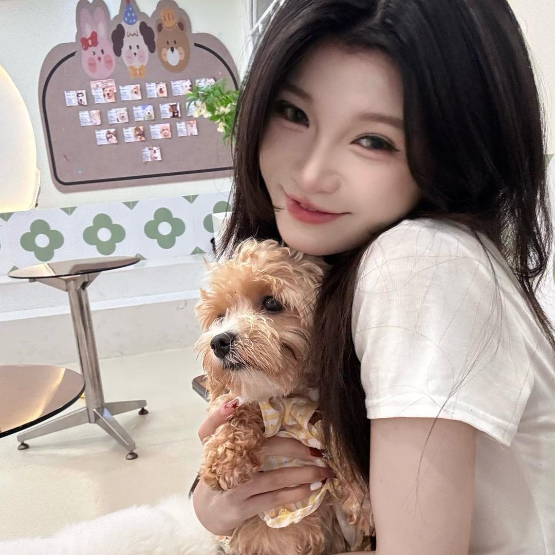 瑞羊羊🐑