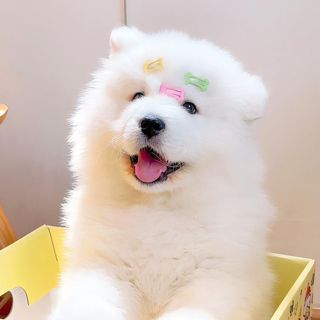 增快快