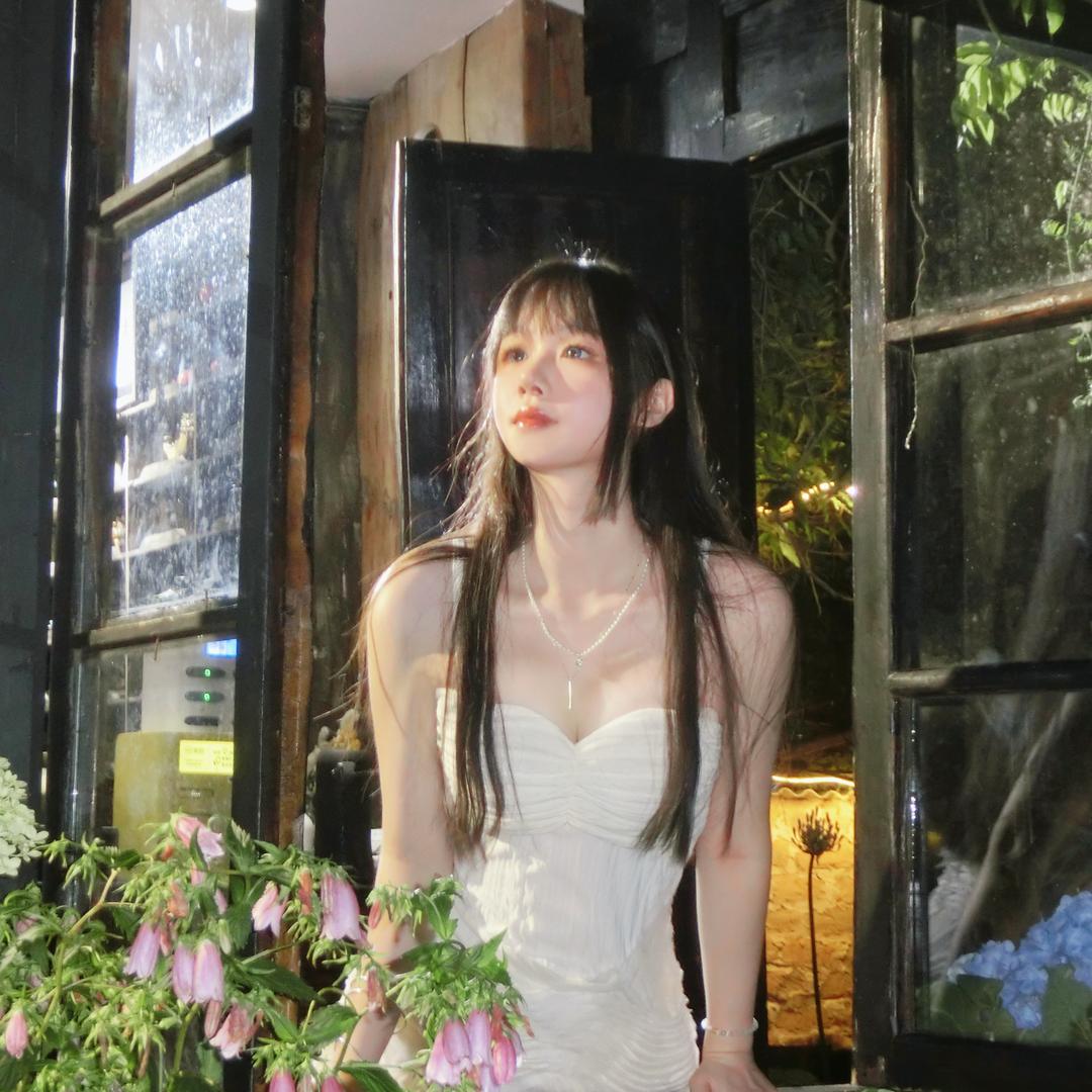 木木的花