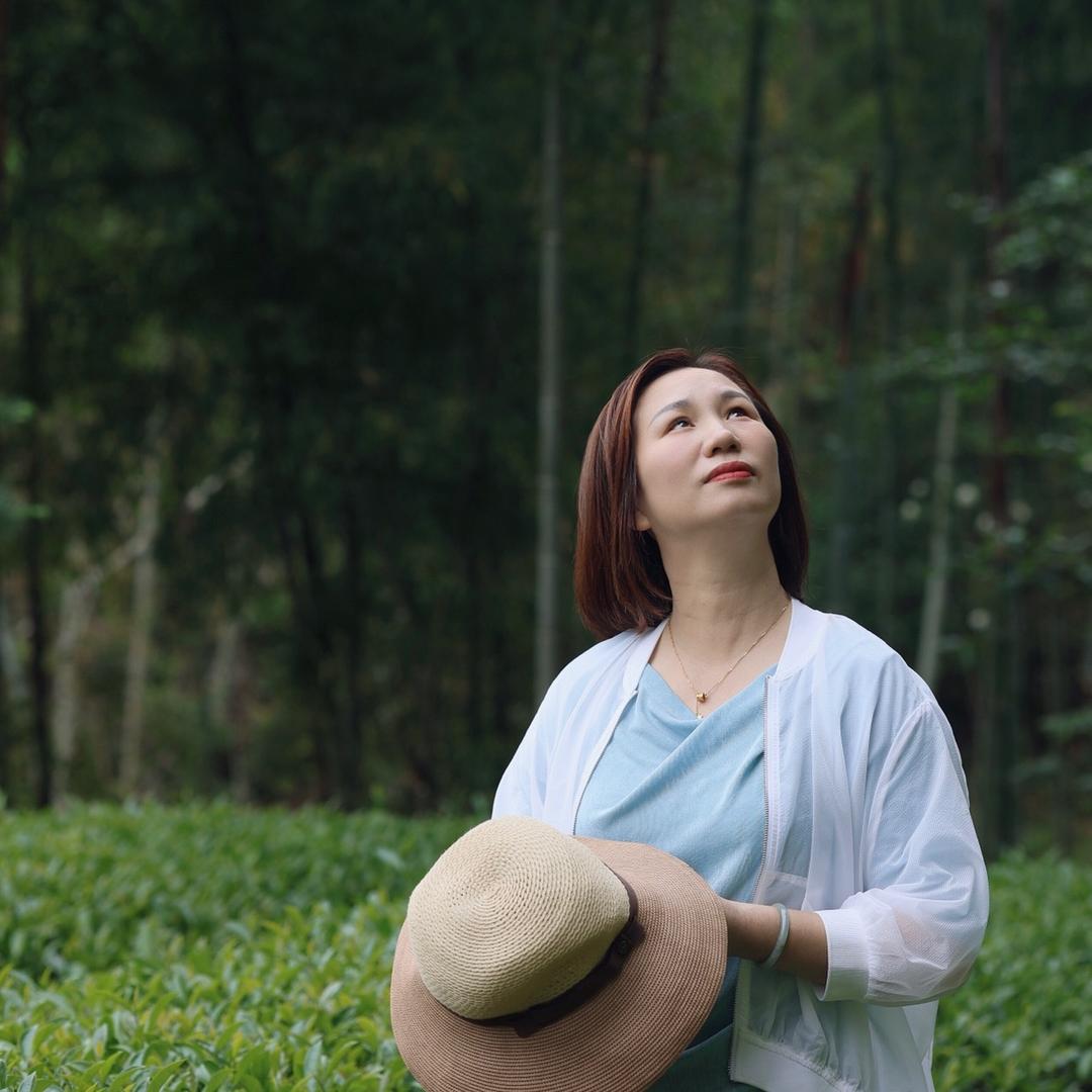 连赞茶叶林
