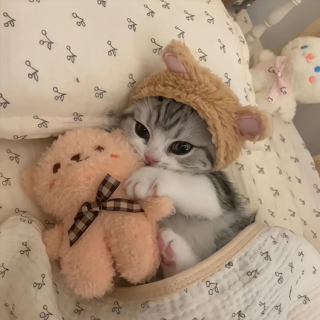 叫我大王😺
