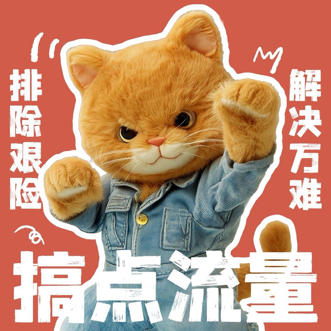 @猫总
