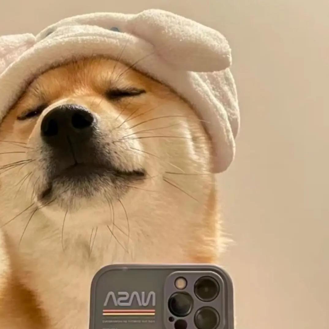 墨宝好物