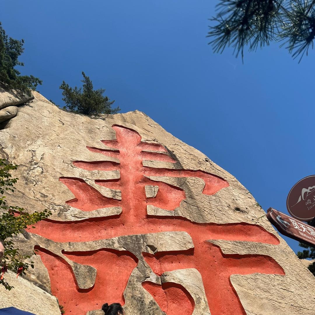 超越自我从头再来