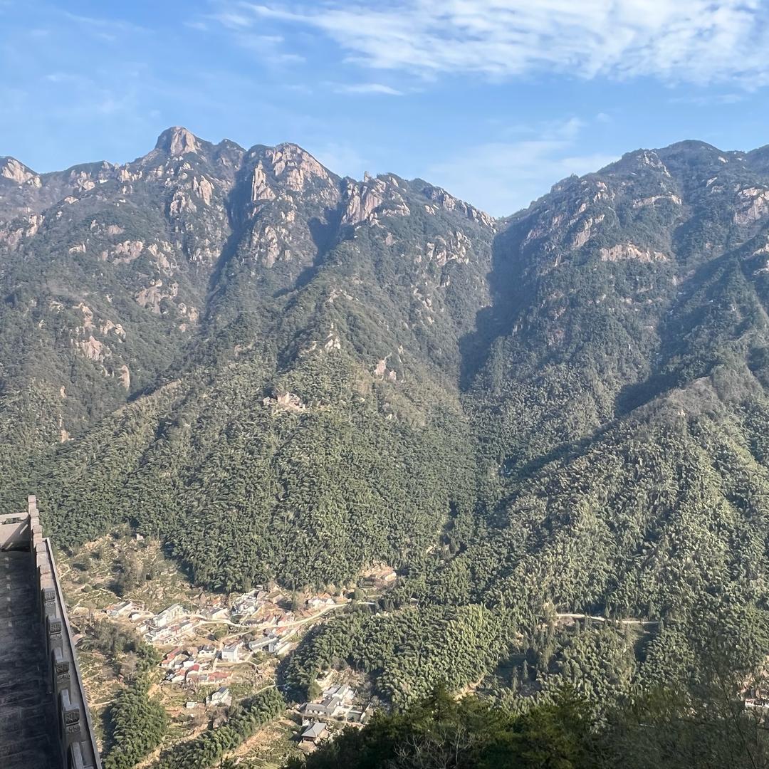 小小金