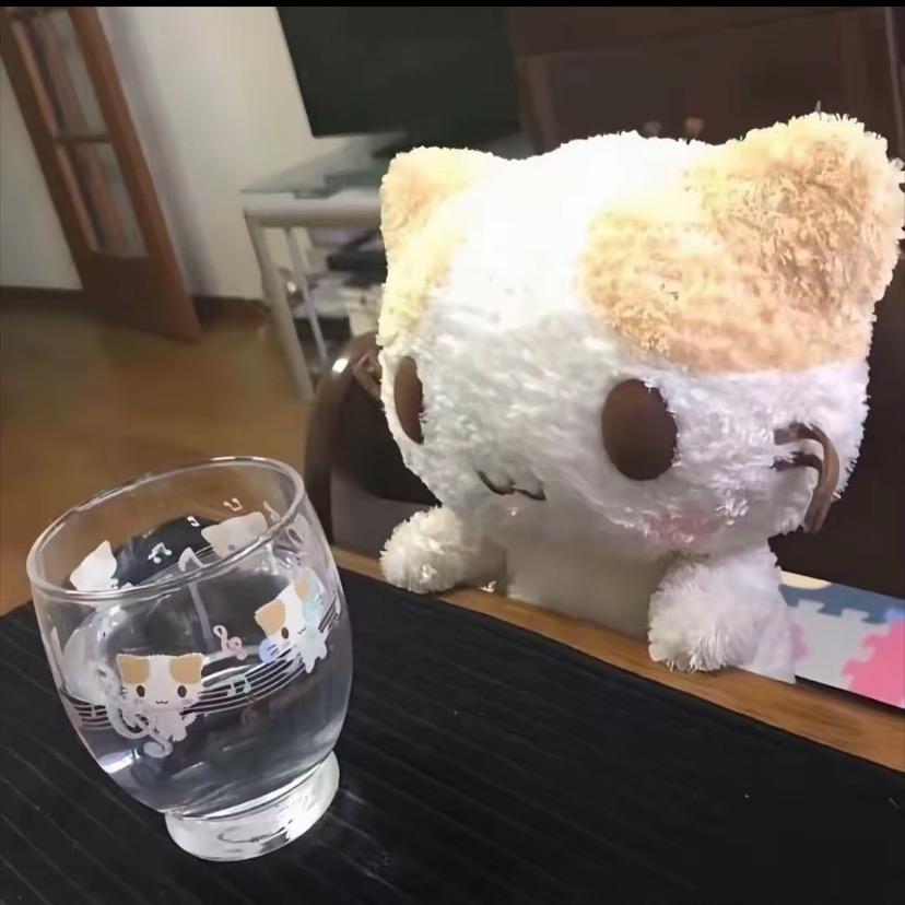 懒猫🐱