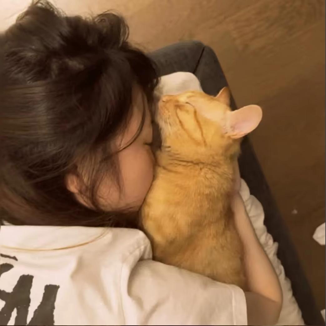 𝓬𝓻𝓰𝓳.🐾