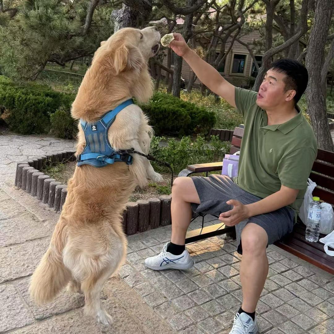 坐怀不乱