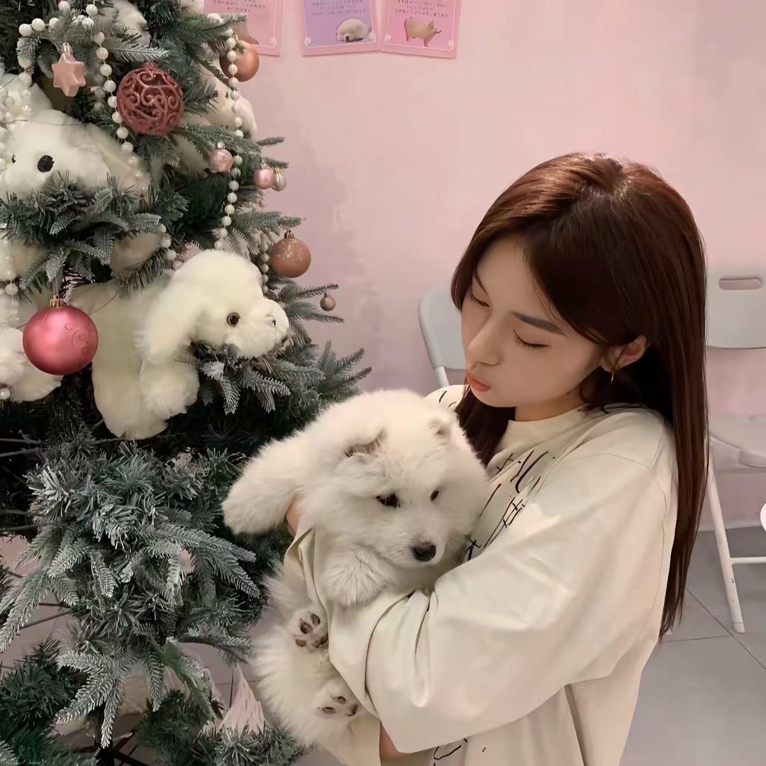 念安是宝贝🦋🐳