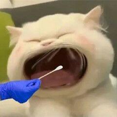 花生米